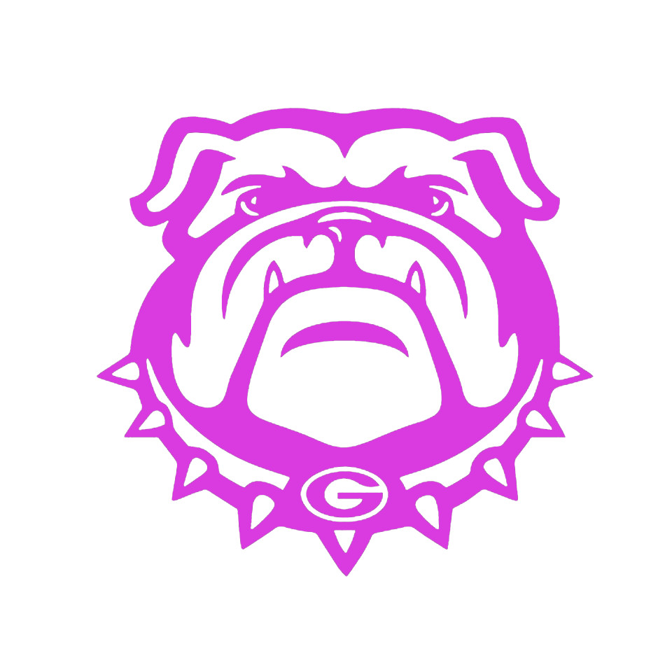 Georgia Bulldogs Decal / National Champions / NCAA / SEC / FREE BONUS DECAL