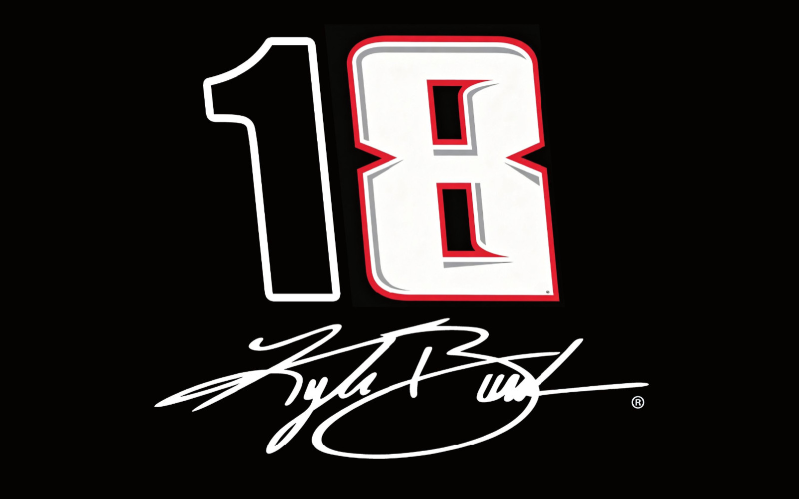 Kyle Busch #8 Team Logo Nascar Double-Sided 3×5 Good Flag Free shipping