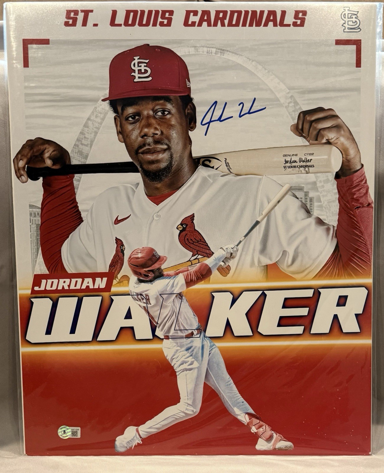Jordan Walker Signed St. Louis Cardinals 16×20 Photo (Beckett)