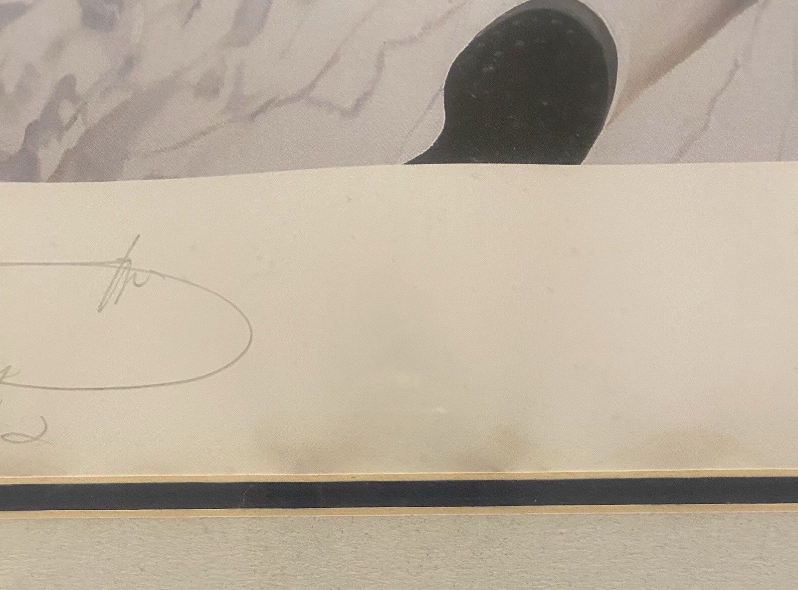 PCS Artist’s Proof Emmitt Smith/Danny Day Autographed Lithograph #47/60