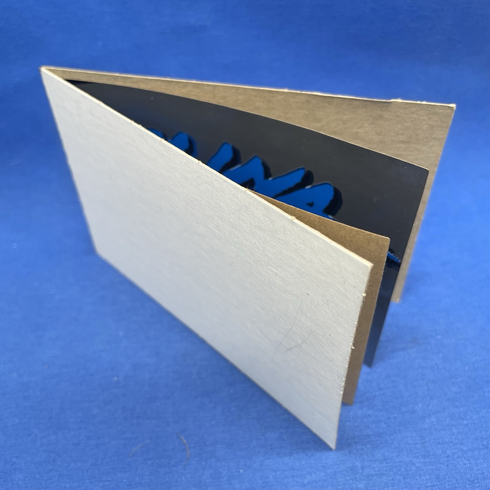 Vintage Carolina Panthers Bumper Sticker Decal PAIR 8.5x3in Long 3x3in Helmet