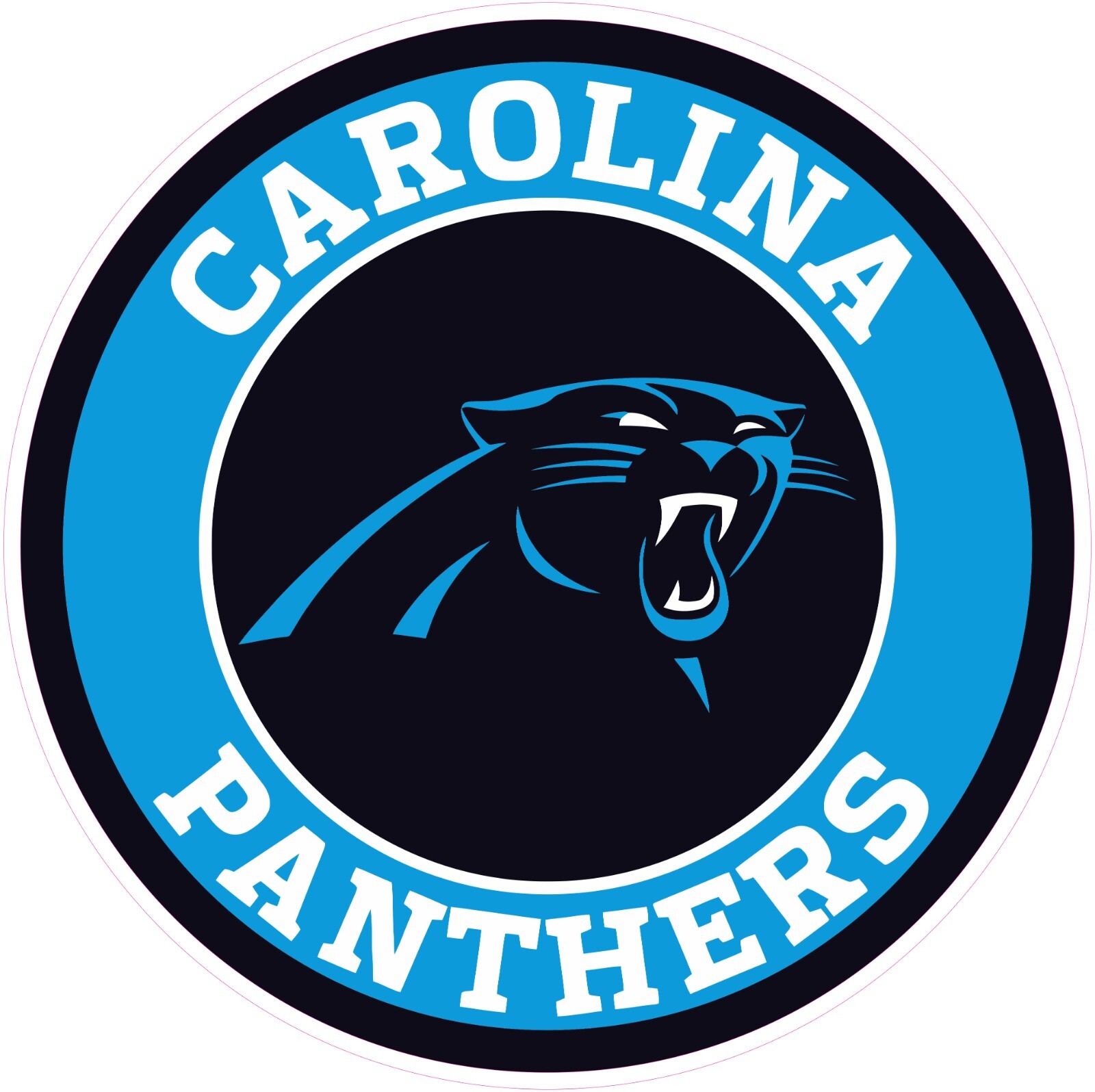 Carolina Panthers Football HTV Heat Transfer Vinyl Iron On (NOT A PATCH)