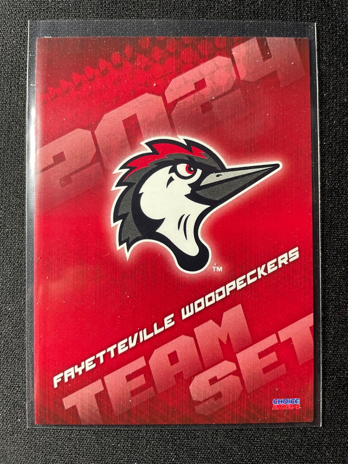 2024 Choice Fayetteville Woodpeckers Team Set (Astros) You Pick Free Shipping!!!