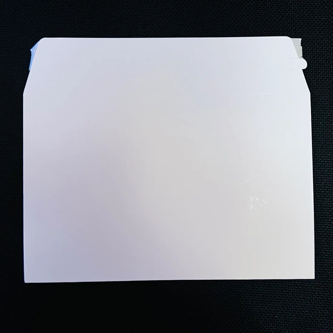 Armalope Mailer 100 PACK Standard Ebay Shipping Envelopes Newest Thicker Version