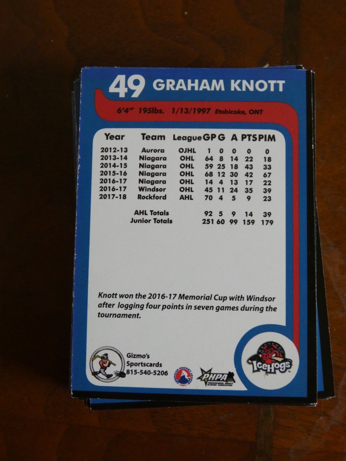 2018-2019 Rockford IceHogs team issue hockey cards 30 Card Lot All Different