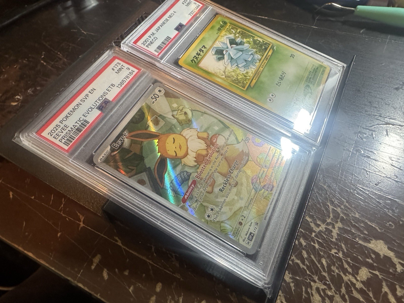 Display Case Card Riser Stands – Great for Zion Case – 24 Risers Mix & Match TCG