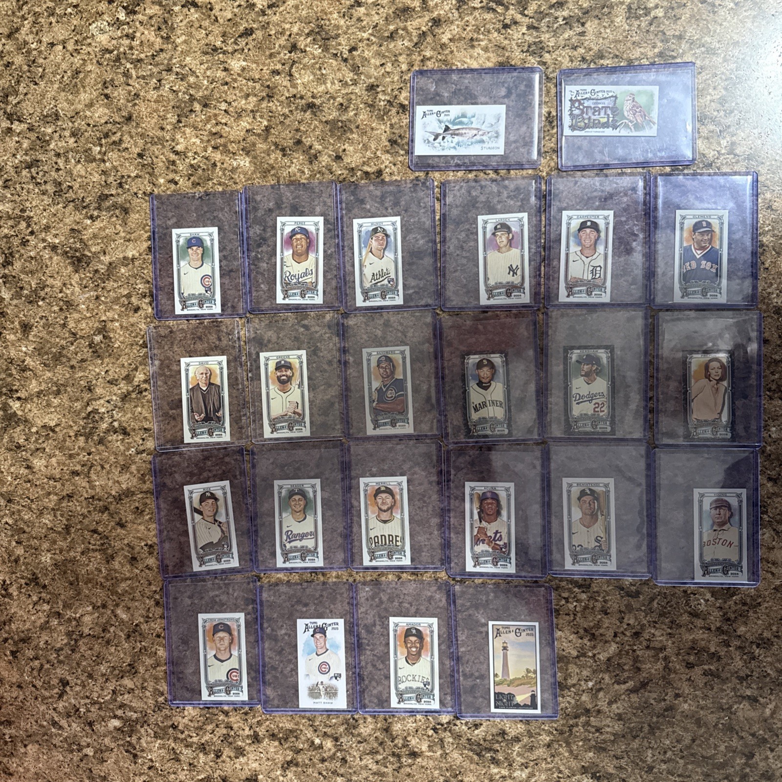 24 Allen & Ginter Mini Card Lot!