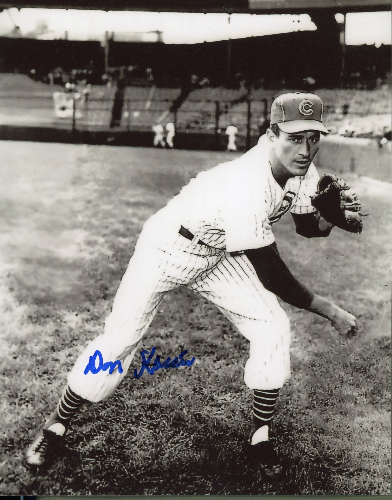 Don Kaiser Autographed 8×10 Chicago Cubs Free Shipping #1
