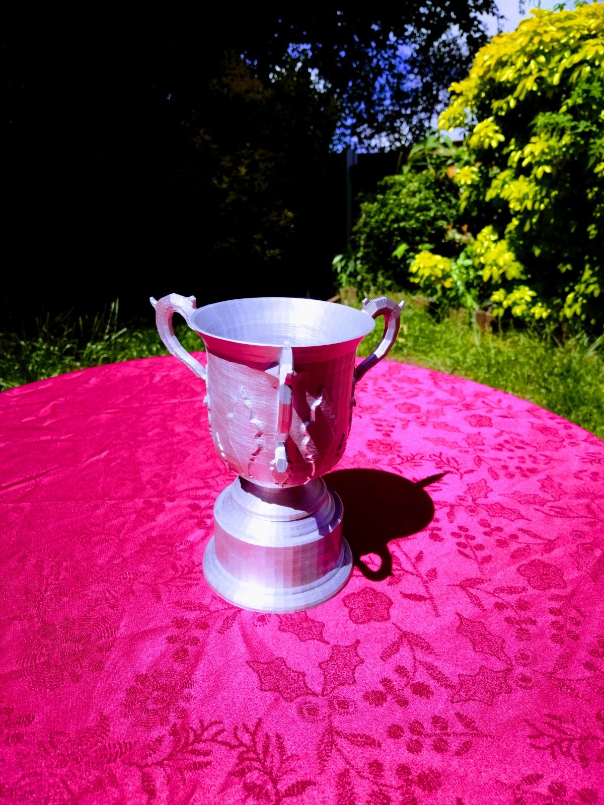 NEW EFL Cup replica – Carabao Cup – with optional ENGRAVING for any team