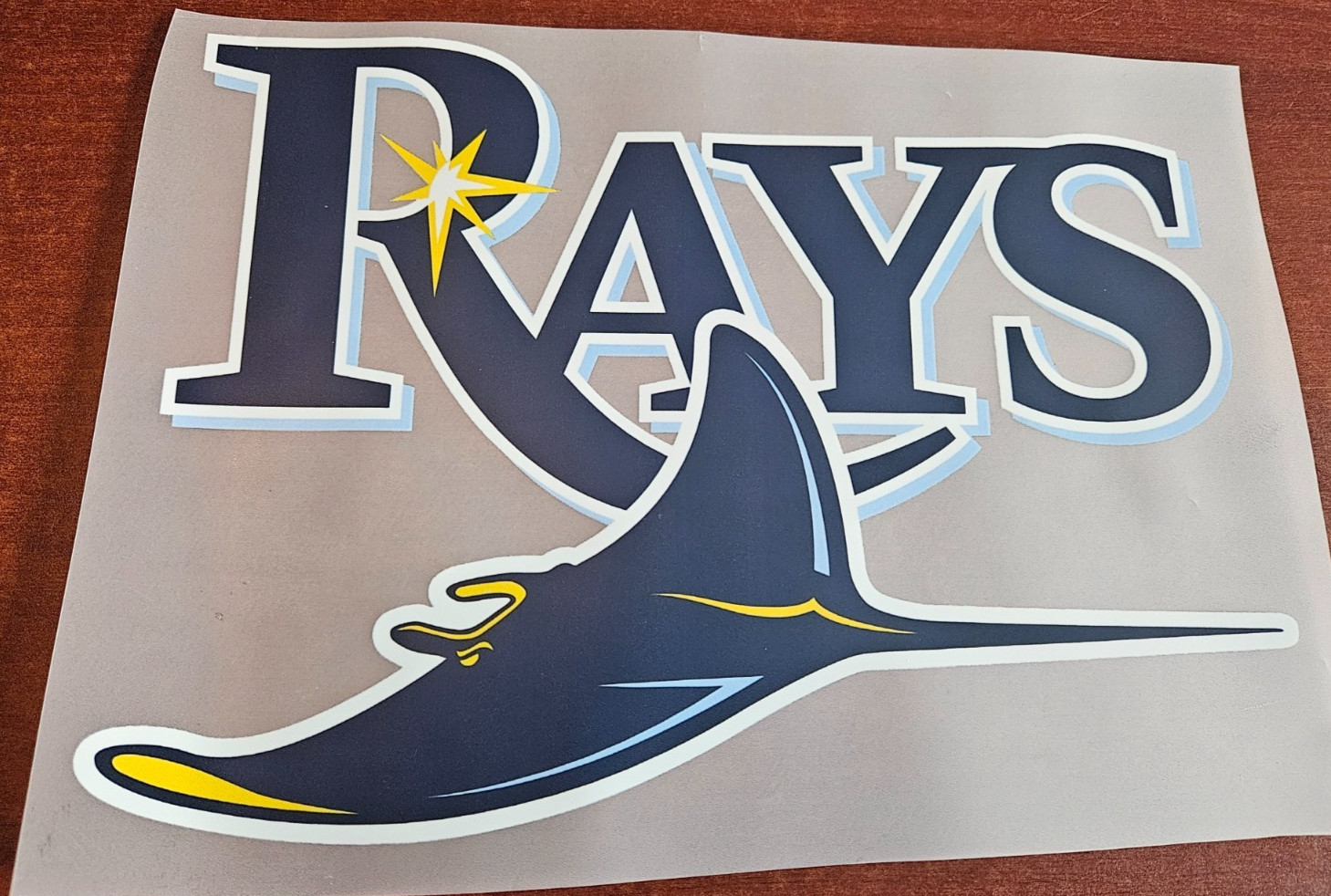 Tampa Bay Rays 10″ DTF Heat Transfer Iron On FREE Shipping (C3)