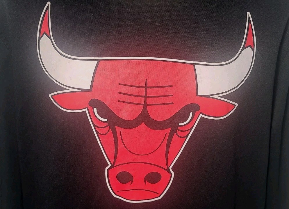 NBA UNK Chicago Bulls Logo Pullover Black Hoodie Sweatshirt Shirt Large ~ Used