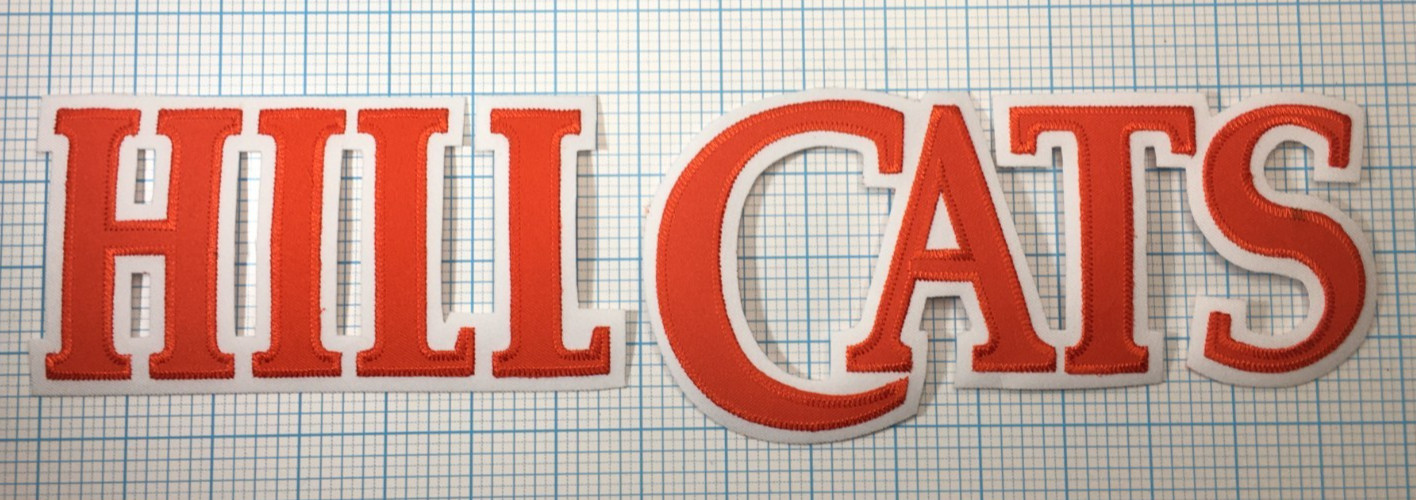 1995-2016 LYNCHBURG HILLCATS CAROLINA MINOR LEAGUE BASEBALL JERSEY PATCH SET