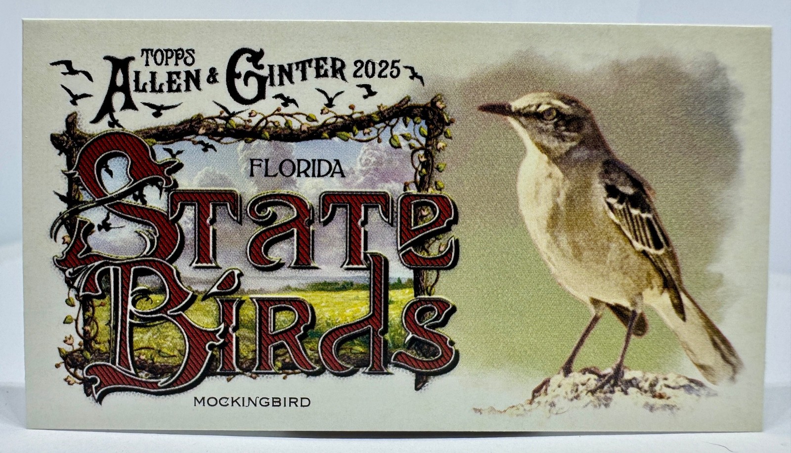 2025 Topps Allen & Ginter State Birds Mini Inserts You Pick Card Complete A Set