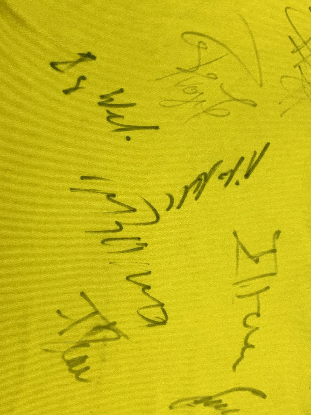 Lehmann Charity Match Worn Switzerland Germany Legends Signed Shirt 2013