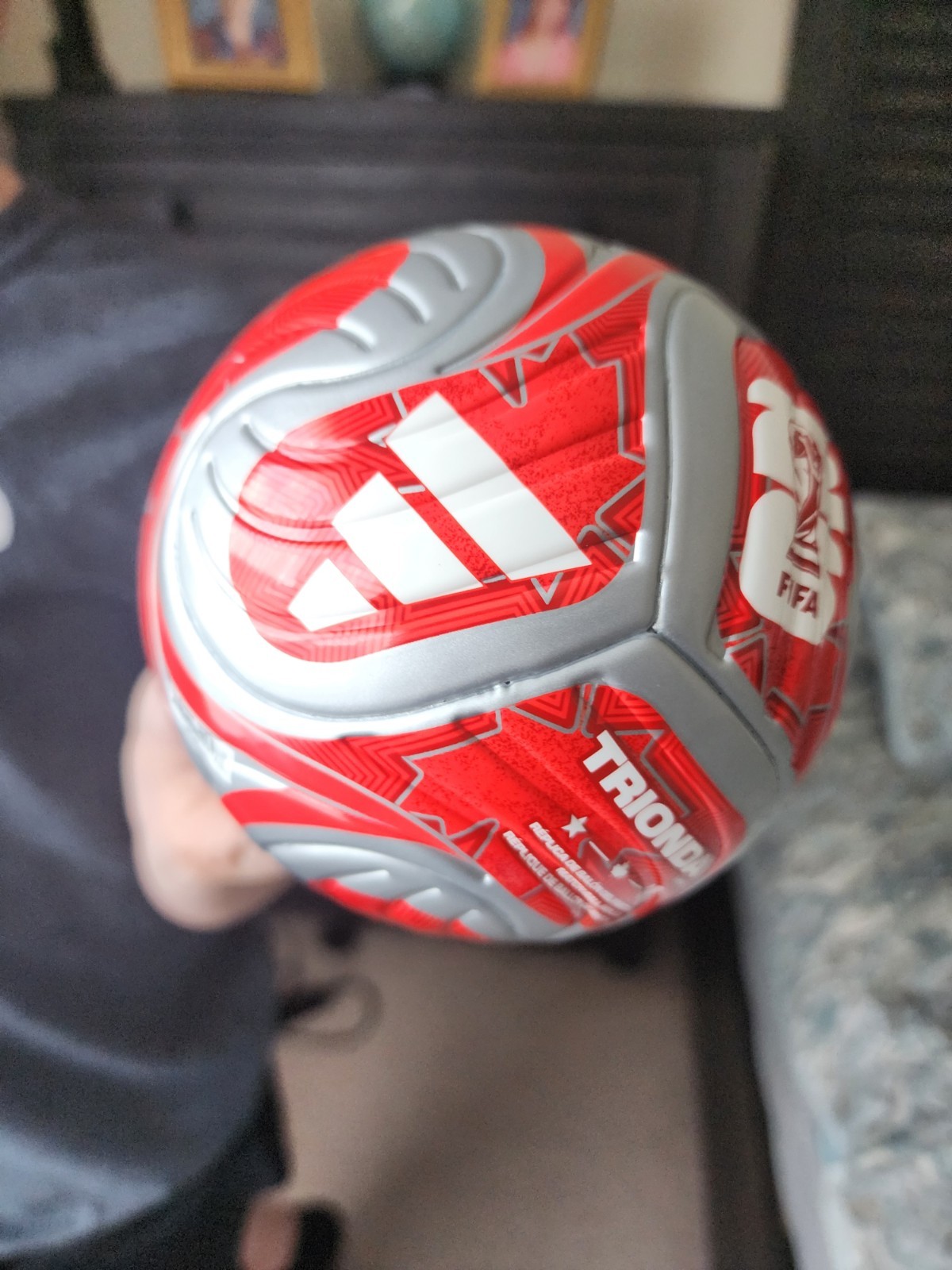2026 World Cup Canada collector’s mini soccer ball
