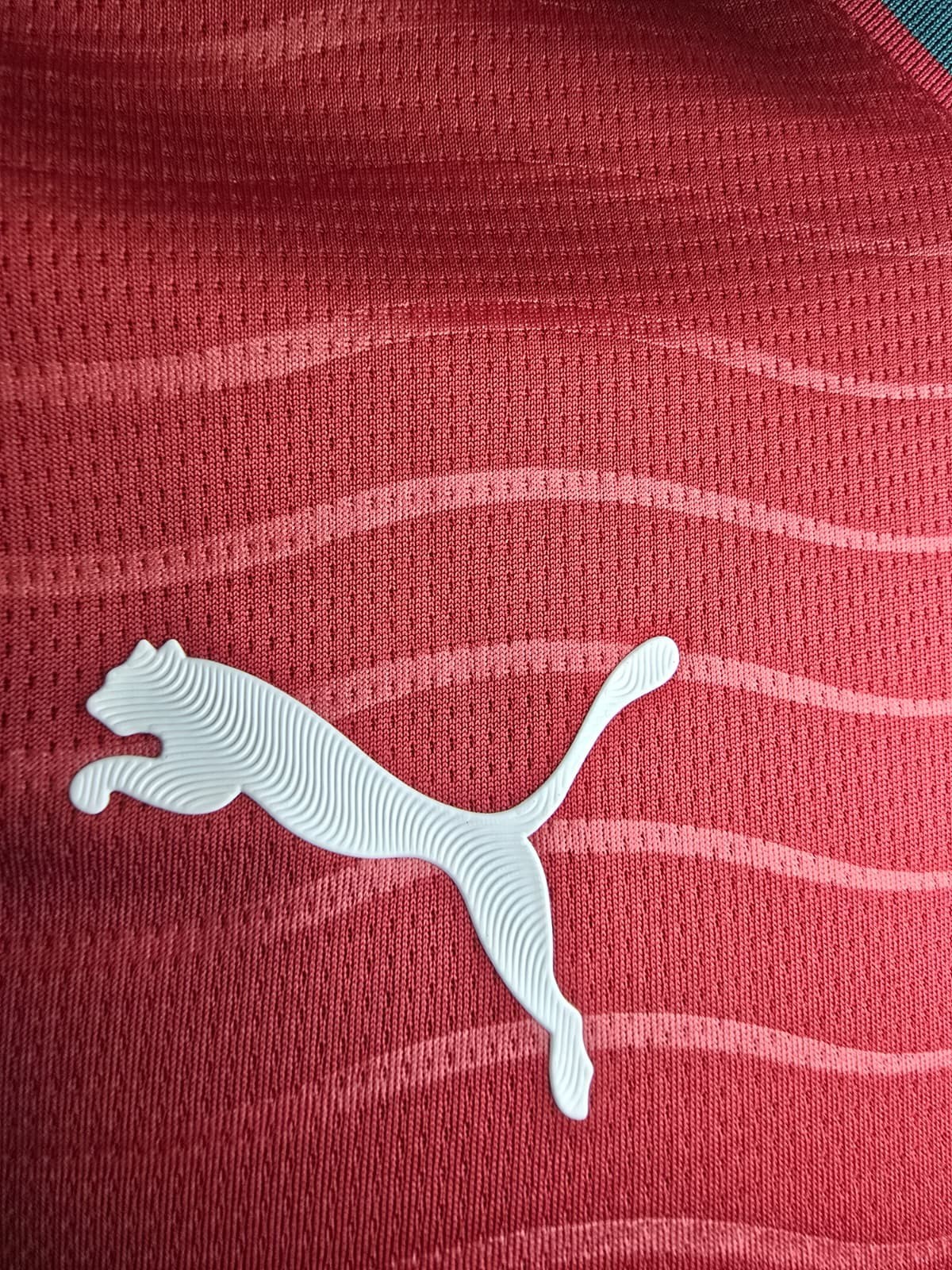 Size L Portugal Home Cristiano Ronaldo Fan Version Jersey 2026 Football Shirt