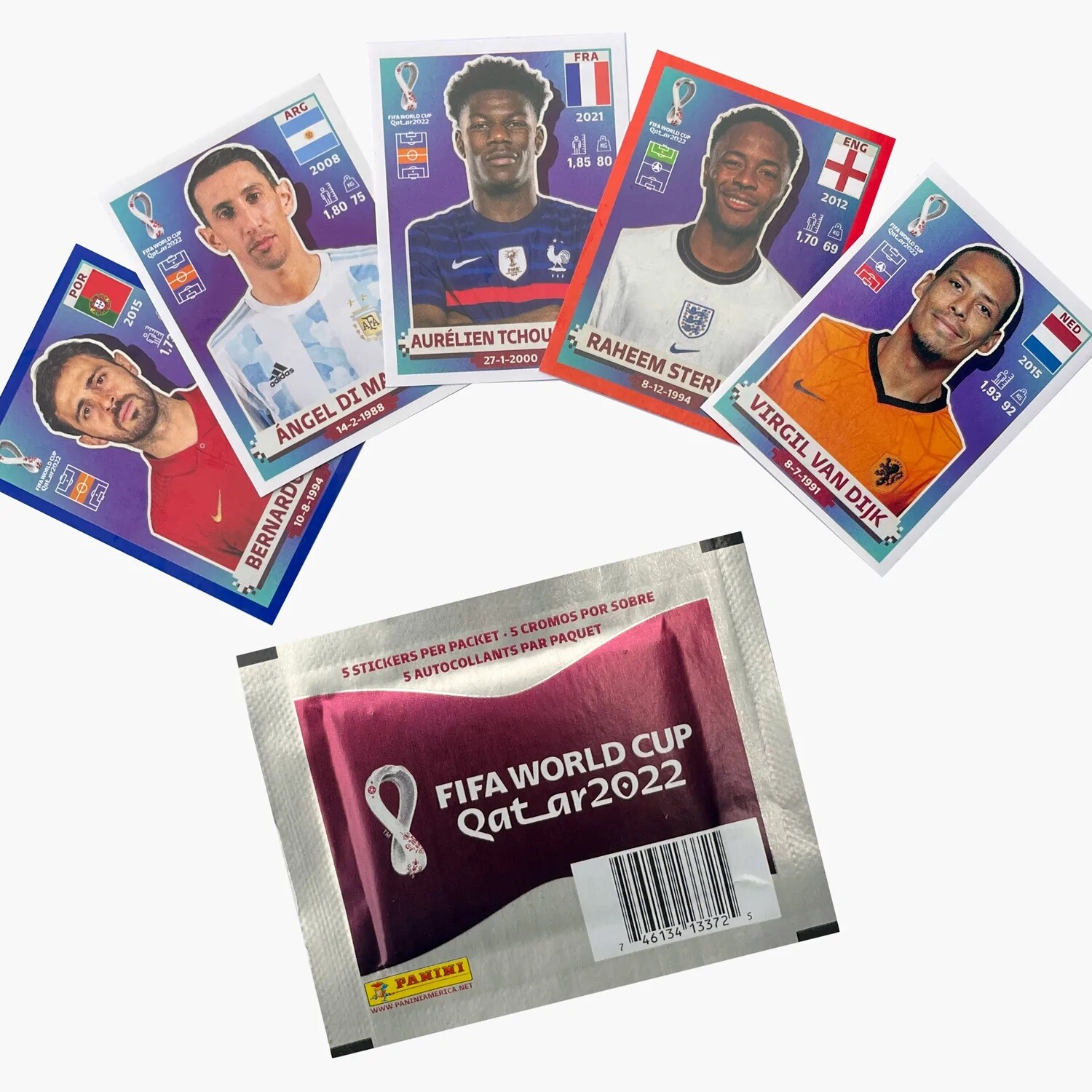 Panini FIFA World Cup Qatar 2022 – Stickers Foils – #00 – #WAL20 – GROUP A B