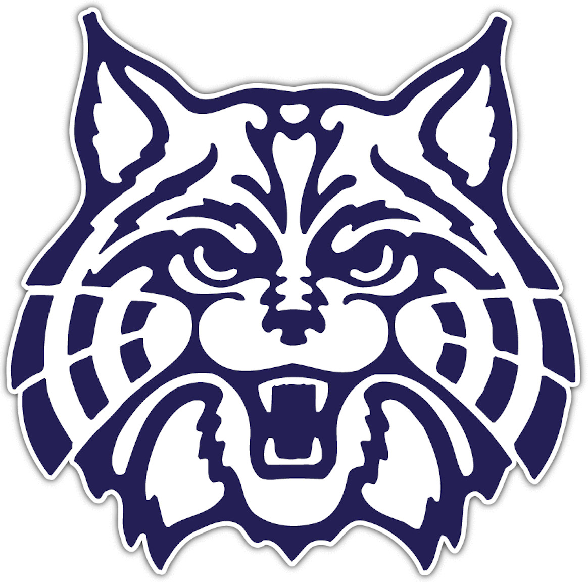 Car Magnet – Arizona Wildcats – NCAA College Football – MAGNET