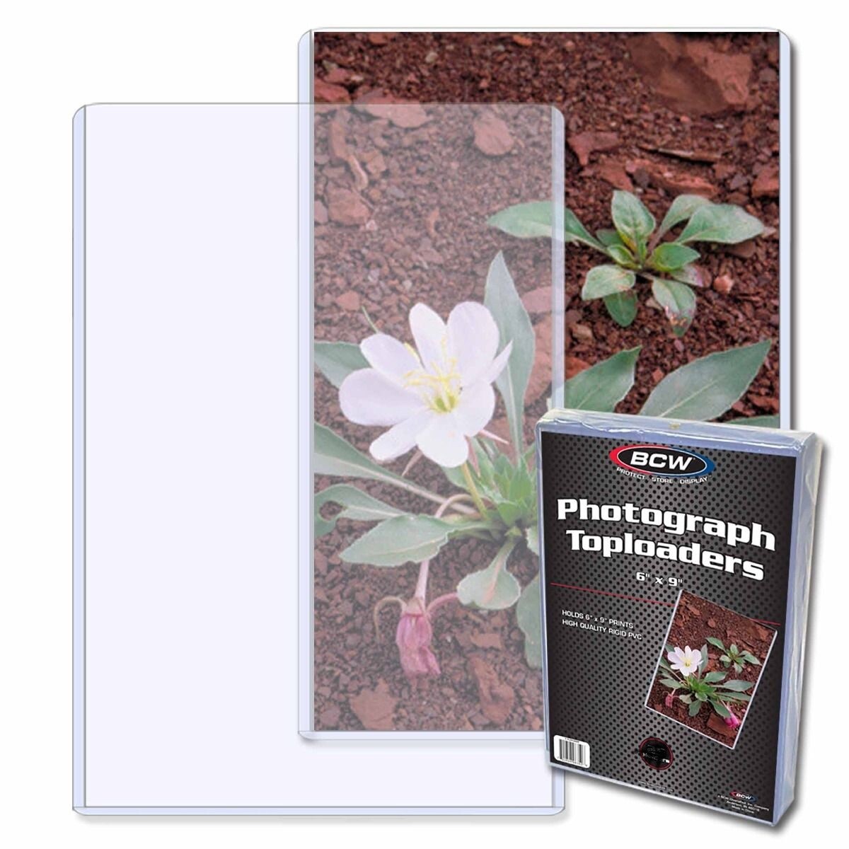 New (6 PK) BCW 6 x 9 Hard Plastic Rigid Topload Photo Holders 6 x 9 toploaders