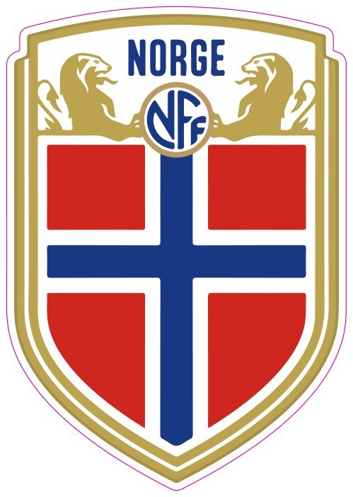 (NOT A PATCH) Norway National Soccer Team HTV Heat Transfer Vinyl Iron On