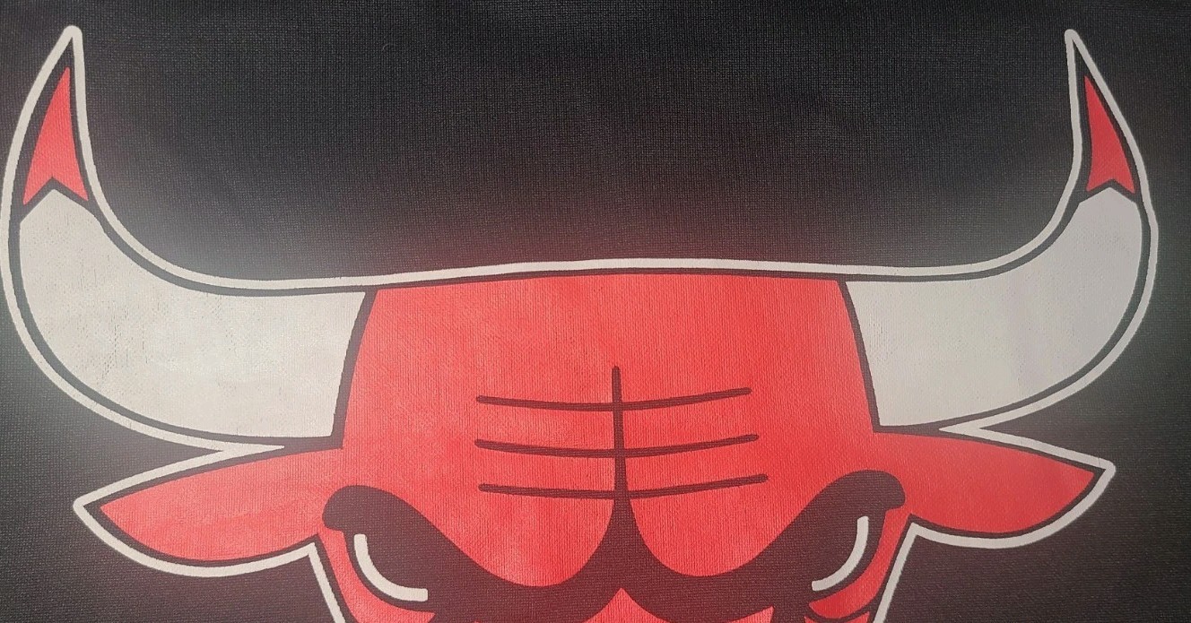 NBA UNK Chicago Bulls Logo Pullover Black Hoodie Sweatshirt Shirt Large ~ Used