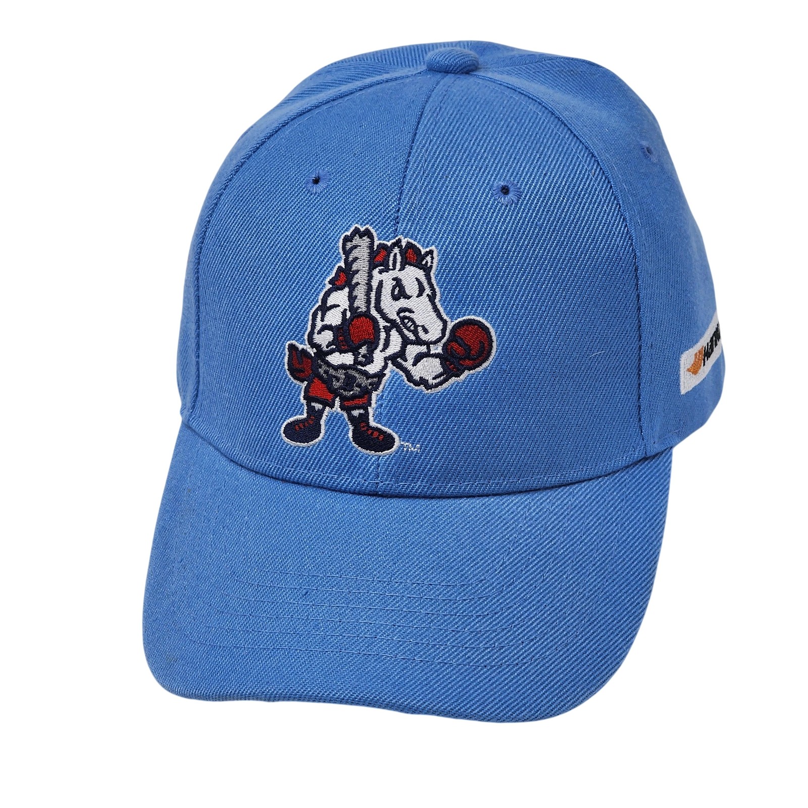 Binghamton Rumble Ponies Hat Cap Strap Back One Size Blue Sports Mascot Mens