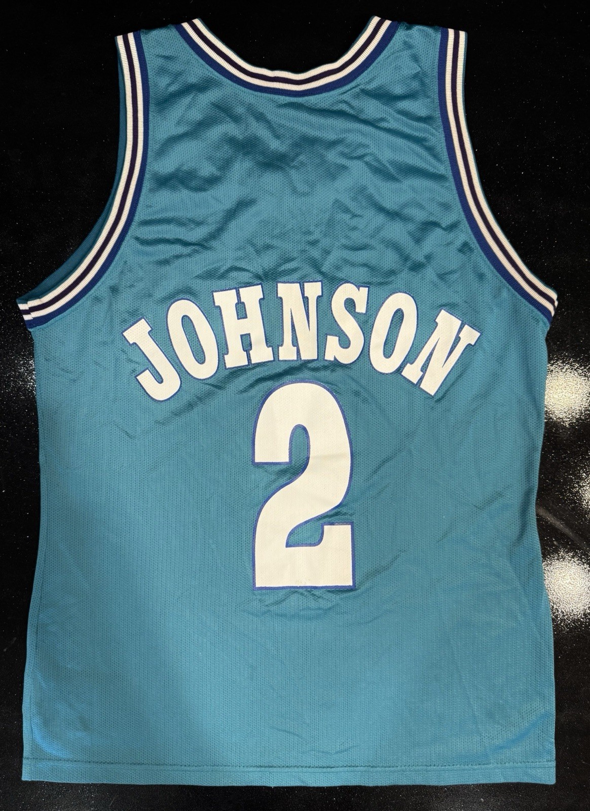 Vintage Champion Larry Johnson #2 Charlotte Hornets Jersey USA Size 40 NBA
