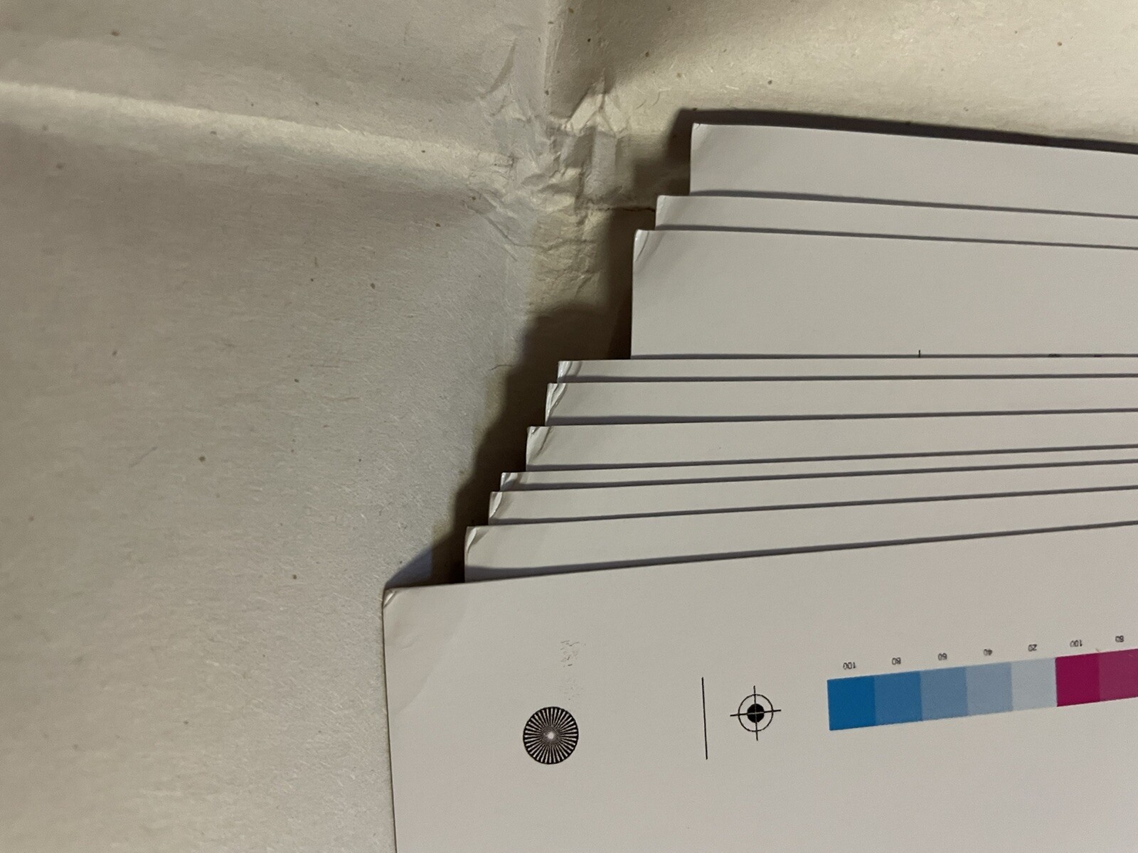 Topps Project 70 Lauren Taylor Gold Stamped Limited Ed. 18X24 Poster