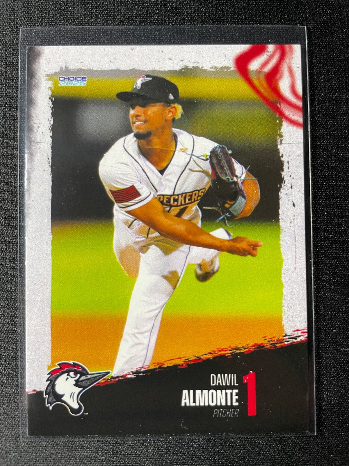 2025 Choice Fayetteville Woodpeckers Team Set (Astros) You Pick Free Shipping!!!