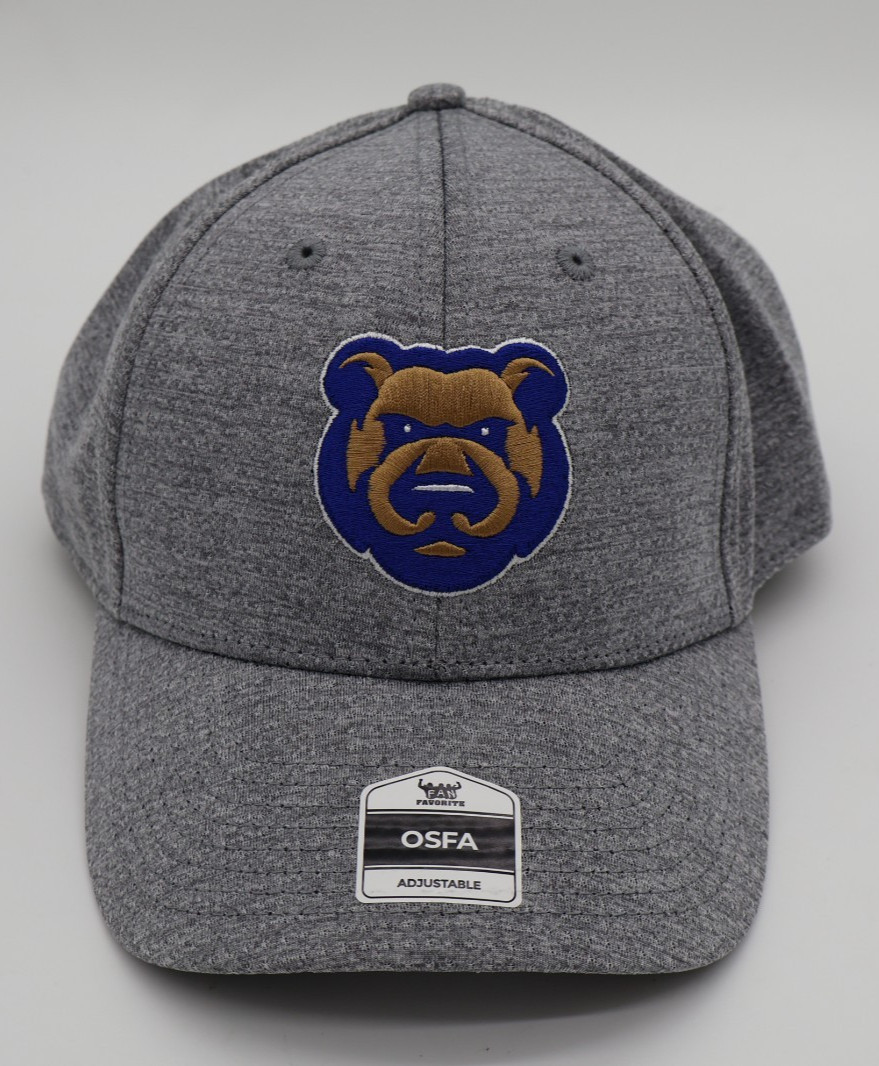 Iowa Cubs Hat Cap Men’s Adjustable Gray Adult Snap Back Des Moines Iowa NWT