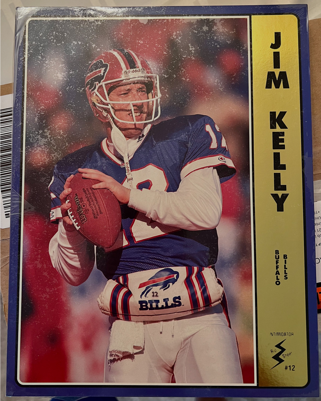 1992/93 Intimidator Bio Sheet NFL Football Card Complete Sealed Set