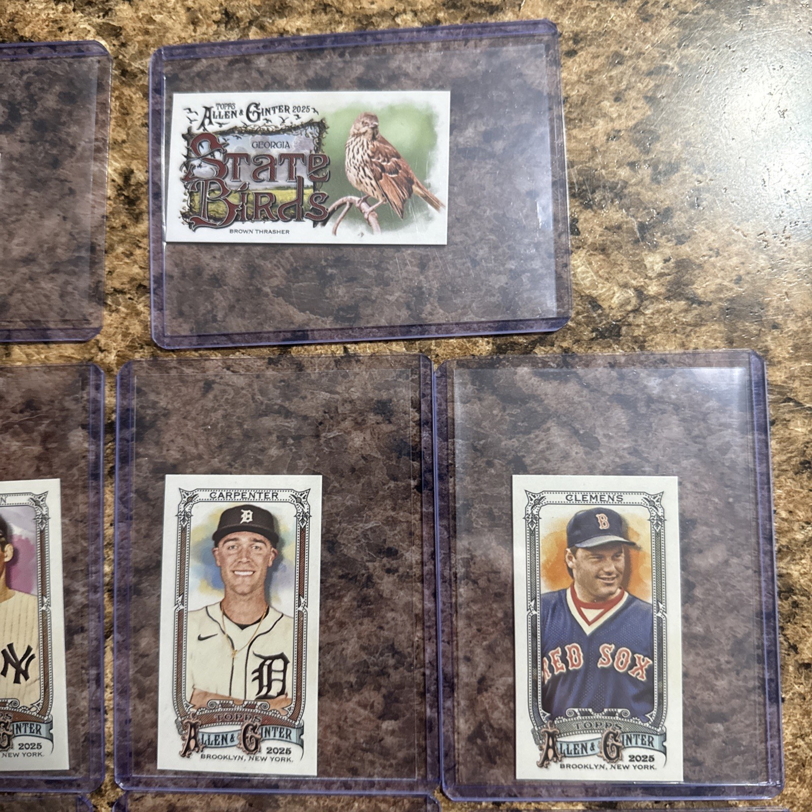 24 Allen & Ginter Mini Card Lot!