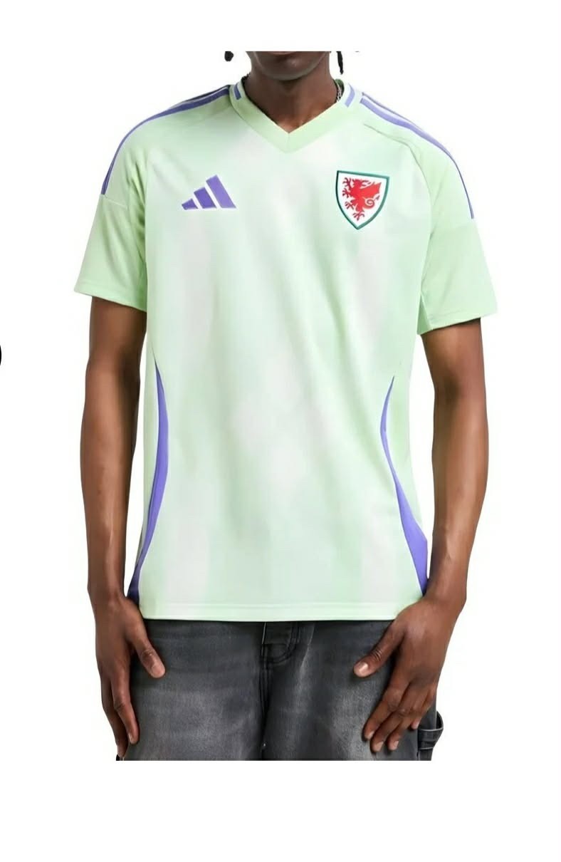 Adidas Women’s Wales Football Team Shirt Jersey 2025 Men’s Fit Size Uk S JD7455