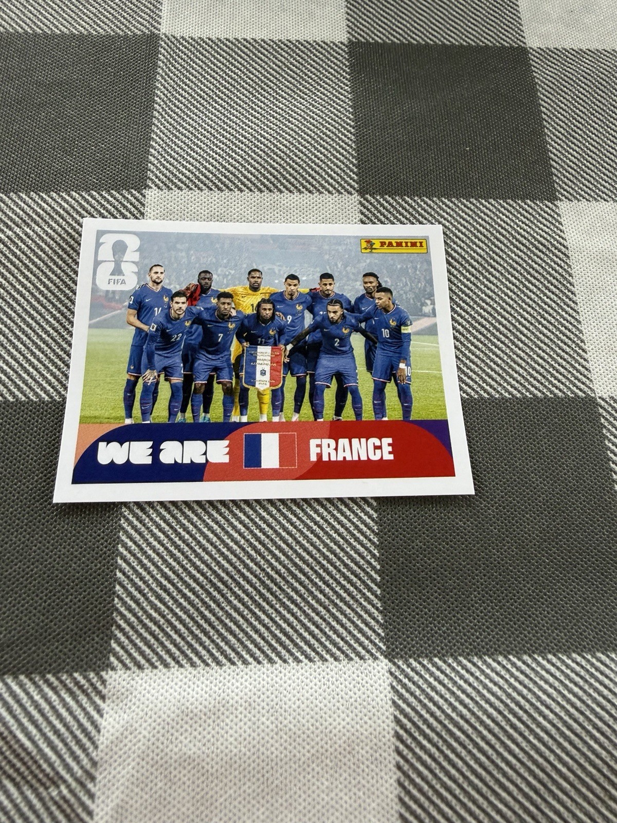 2026 Panini FIFA World Cup Stickers #FRA13 We Are France