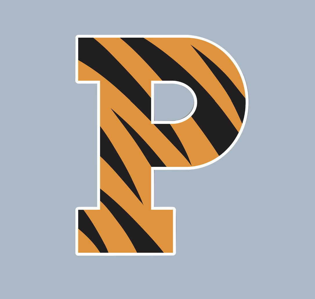 Car Magnet – Princeton Tigers NCAA College Football – MAGNET