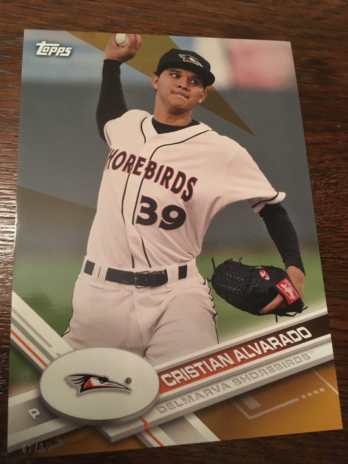 2017 Topps Pro Debut Jumbo 5×7 Christian Alvarado Shorebirds 170 #’d 02/10 Gold