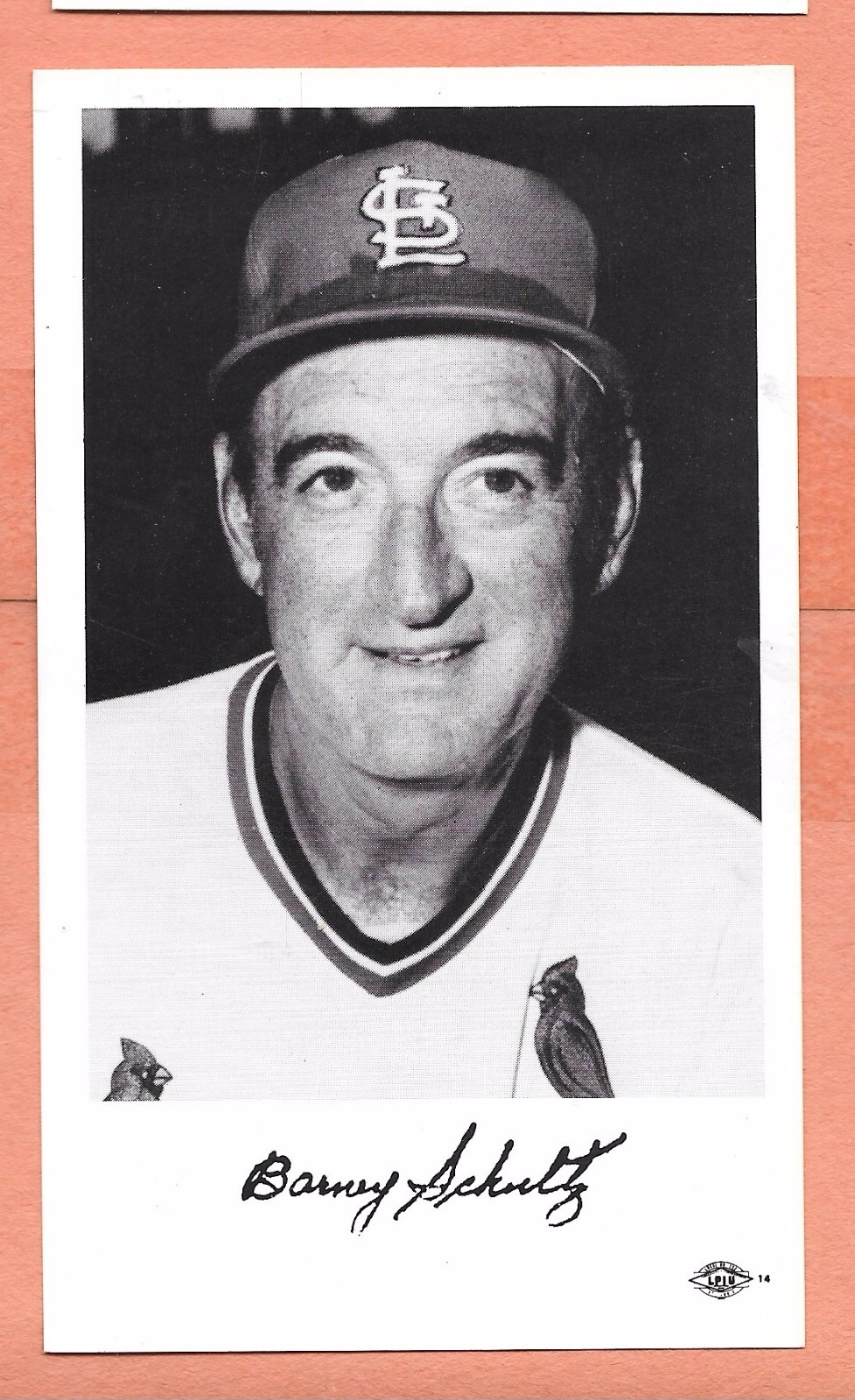 1974 Barney Schultz St Louis Cardinals Team Issued B&W Postcard Photo