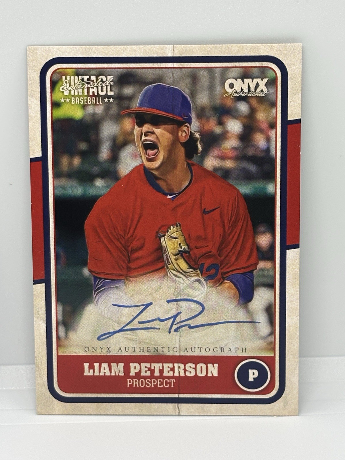 Onyx 2025 Vintage Extended Liam Peterson Auto Autographs #VALIPE NCAA