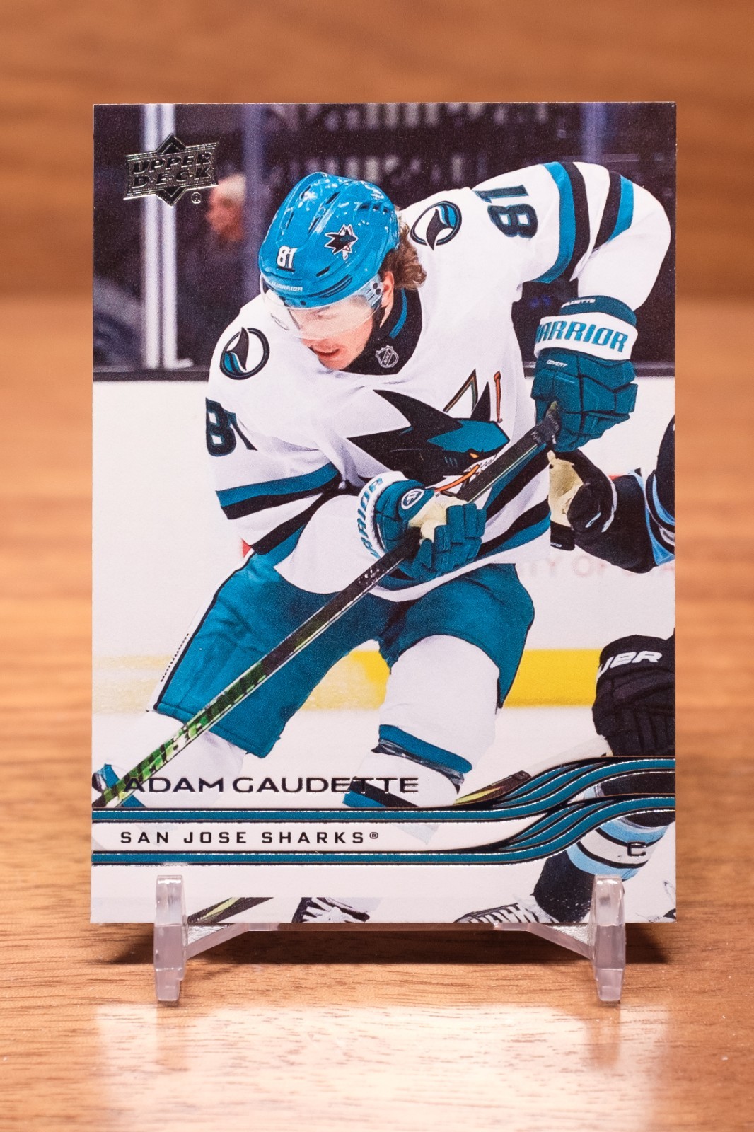 2025-26 Upper Deck Base Adam Gaudette #602