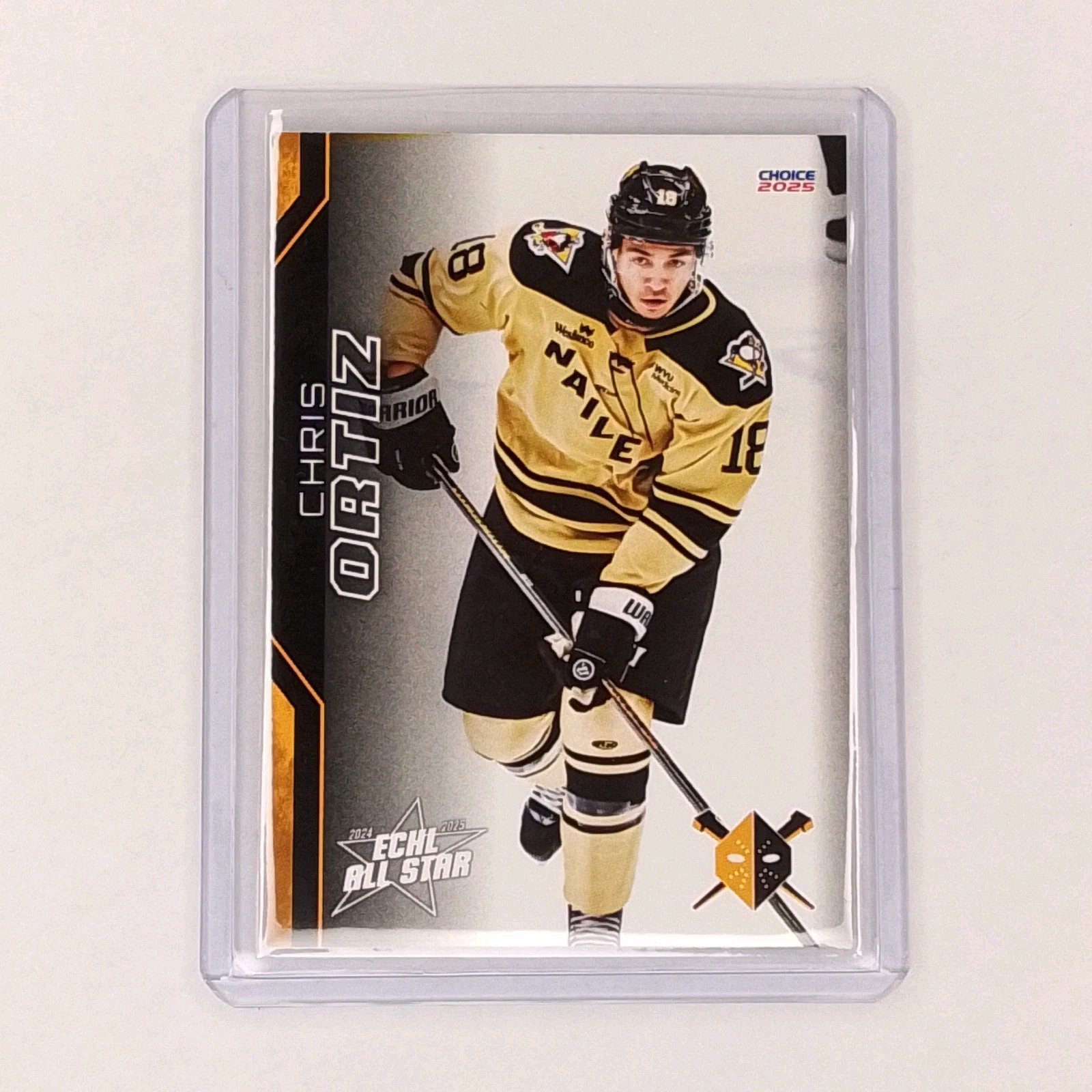 2024-25 Wheeling Nailers (ECHL) Chris Ortiz Hockey Card