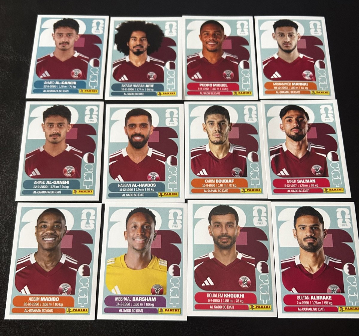 2026 world cup panini stickers (QATAR)
