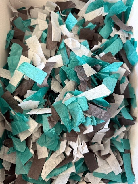 Super Bowl LIX EAGLES Confetti Authentic 40+ Pieces