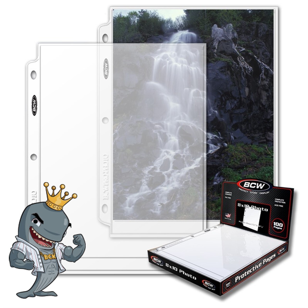 BCW Pro 1-Pocket 8×10 Photo Pages 100ct Box FREE SHIP