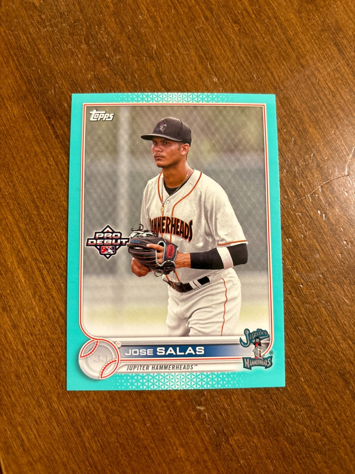 Jose Salas 2022 Topps Pro Debut Aqua PD-197 Hammerheads Minnesota Twins /75
