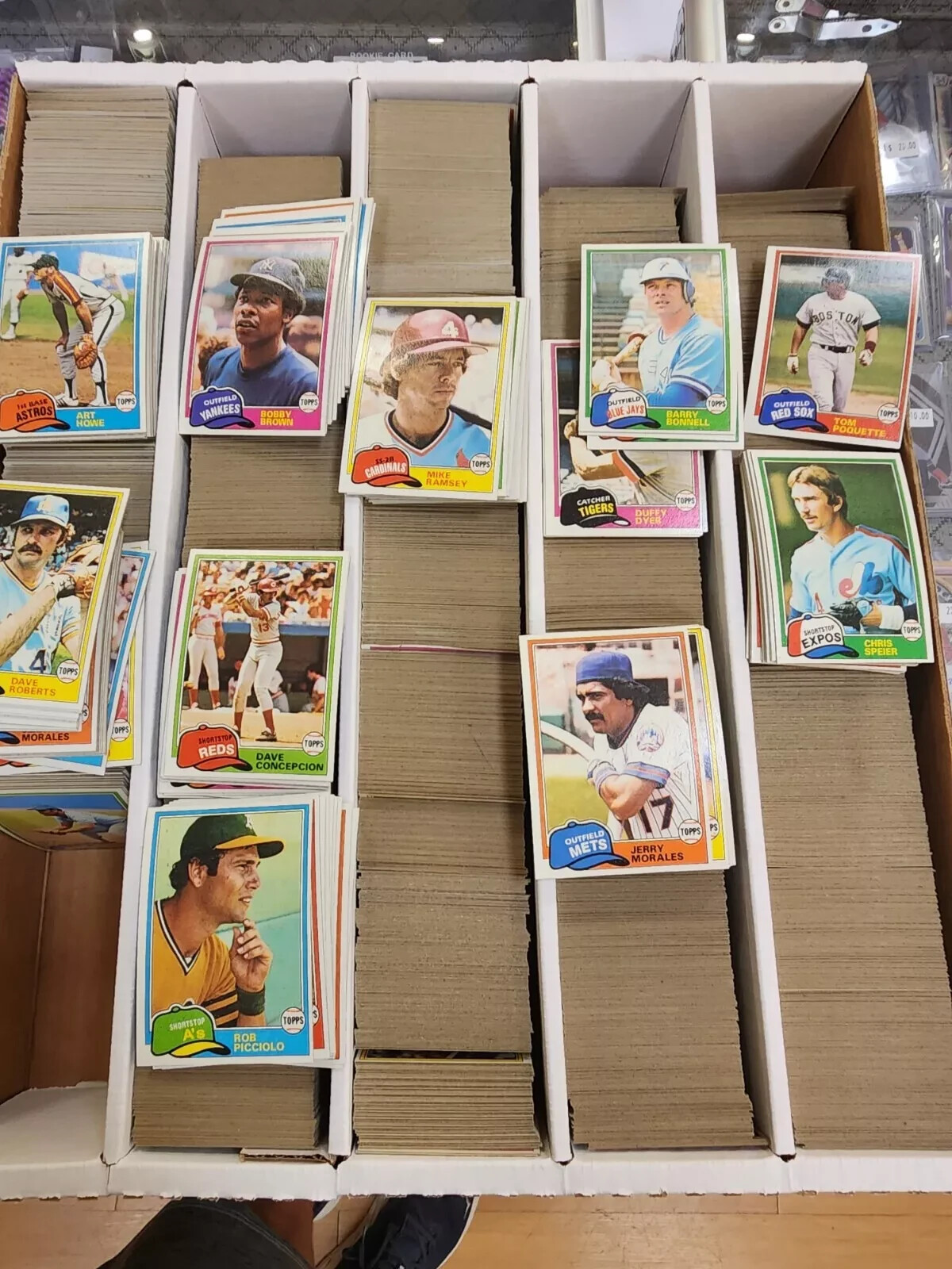 1981 Topps Baseball 50 card Lot EX-MT-NM CONDITION. No creases, or duplicates