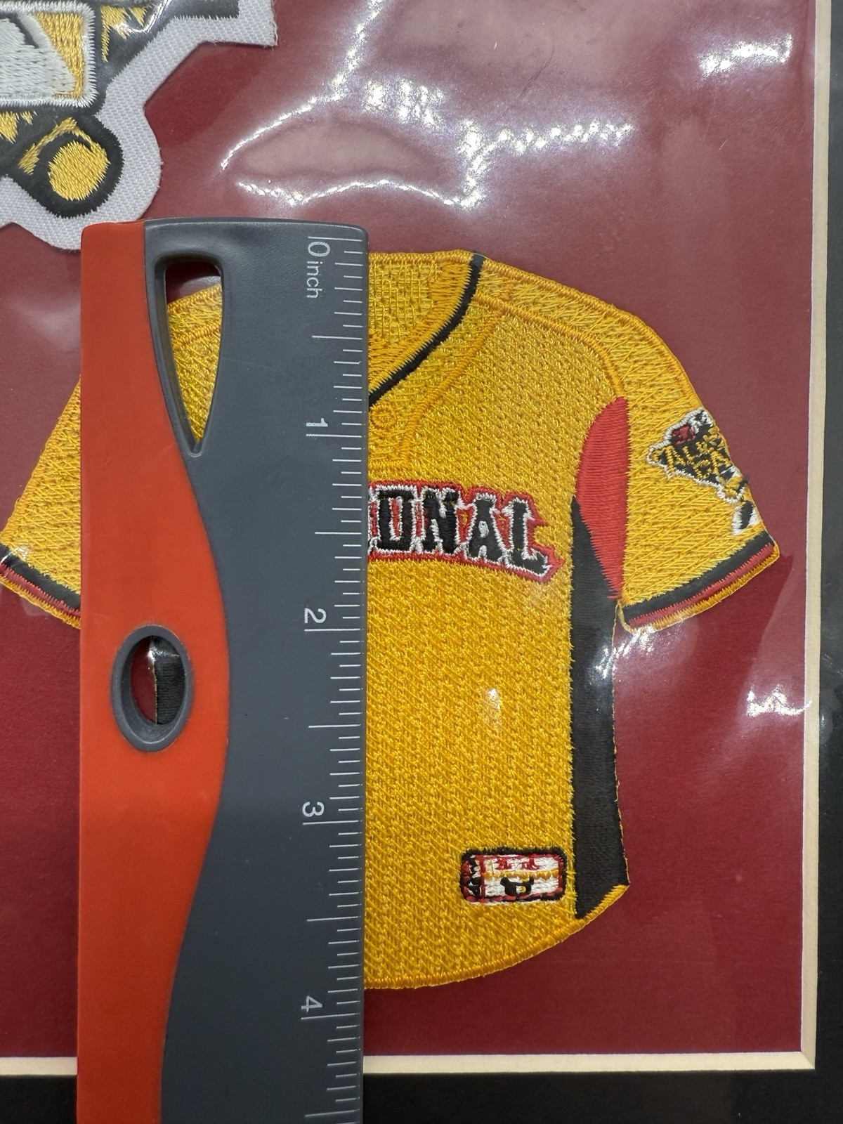 The Emblem Source 2006 All-Star Game Mini Team Jersey MLB Collectible | 11×14