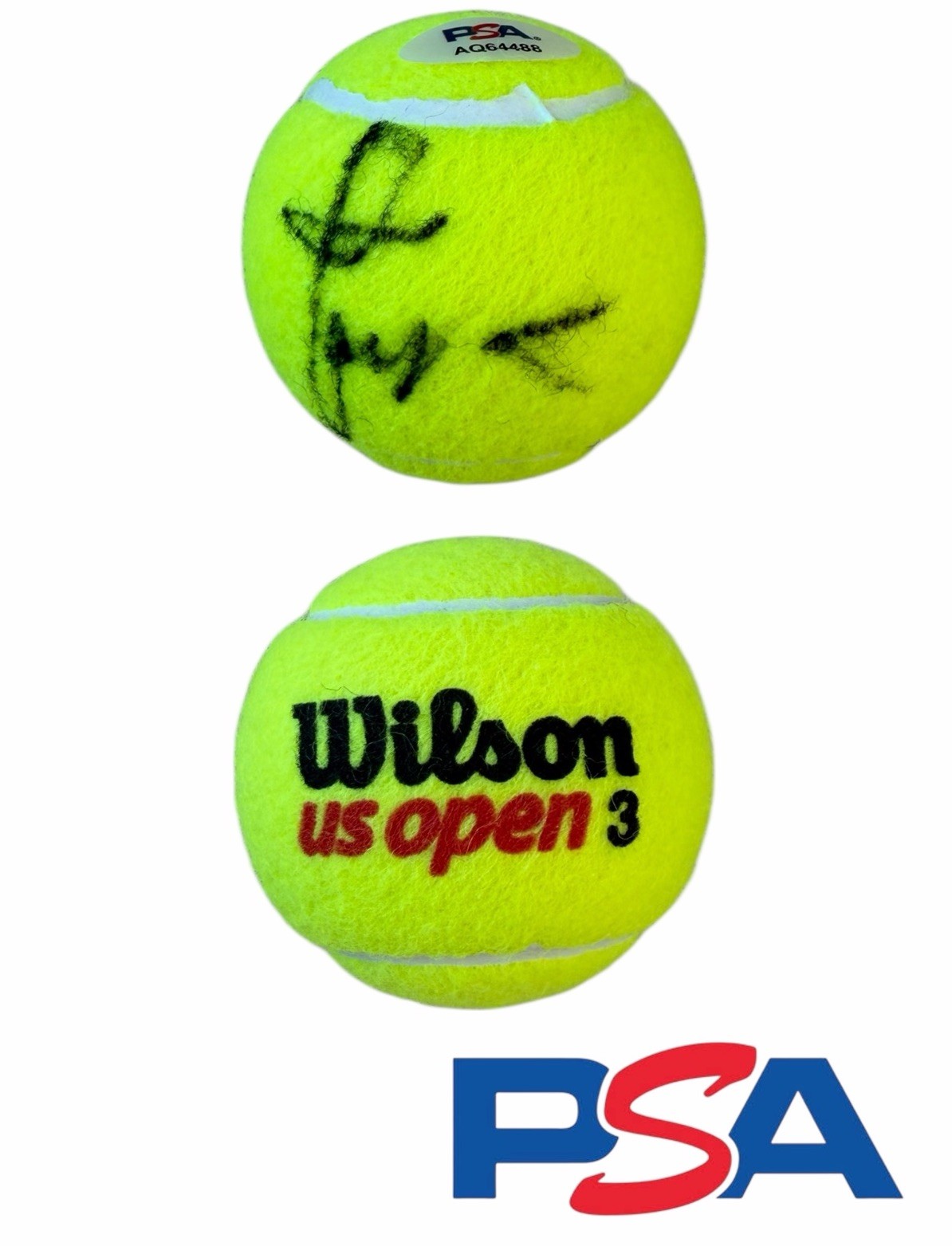 Taylor Townsend Signed Official Wilson US OPEN Tennis Ball PSA/DNA AUTO WTA TOUR