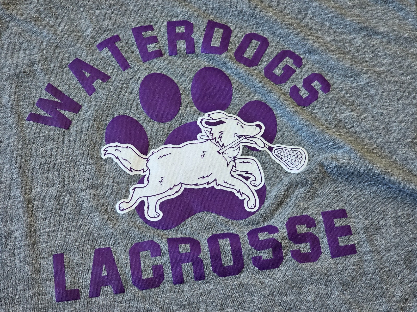 Philadelphia Waterdogs Lacrosse Club Champion T-Shirt Men’s Large Heather Grey