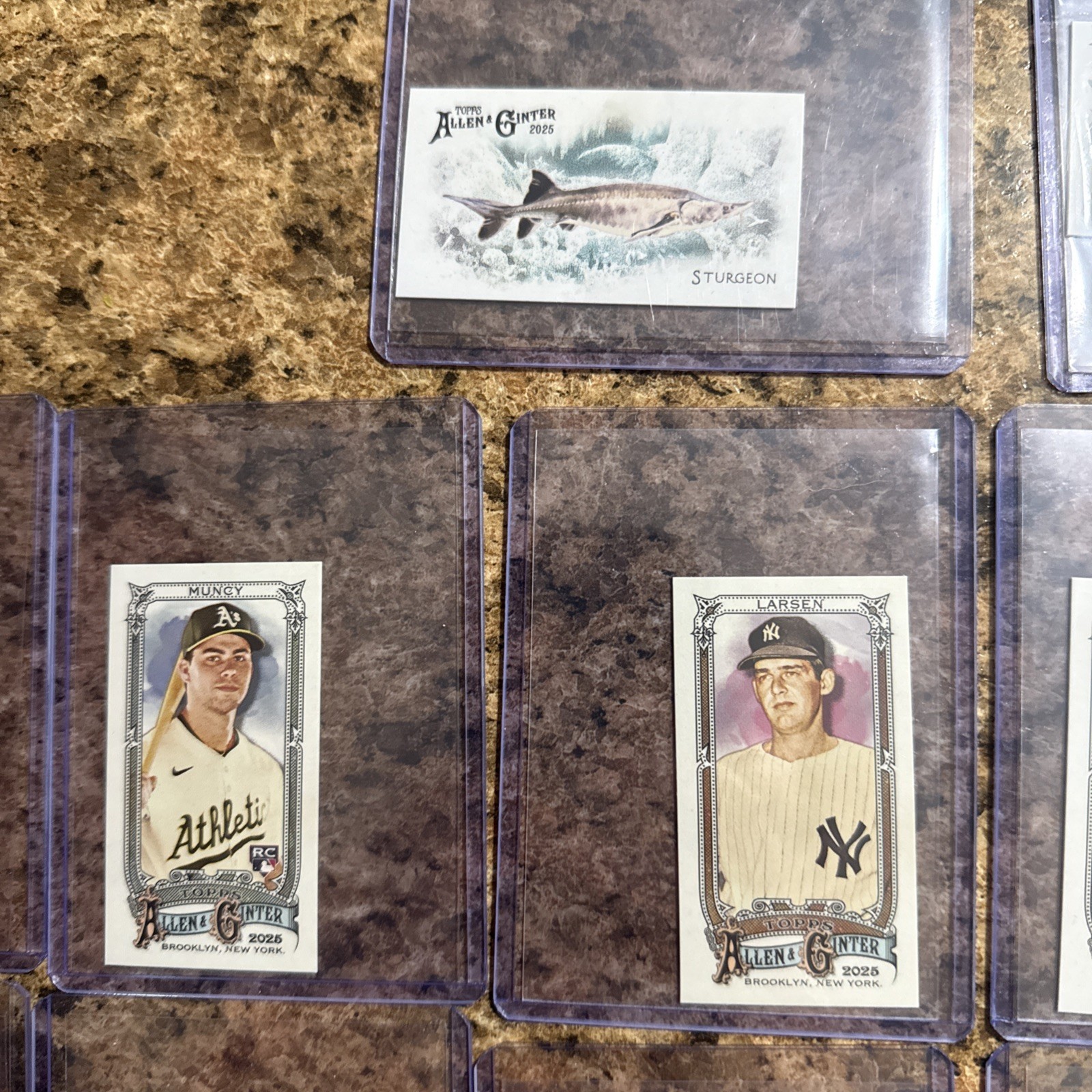 24 Allen & Ginter Mini Card Lot!