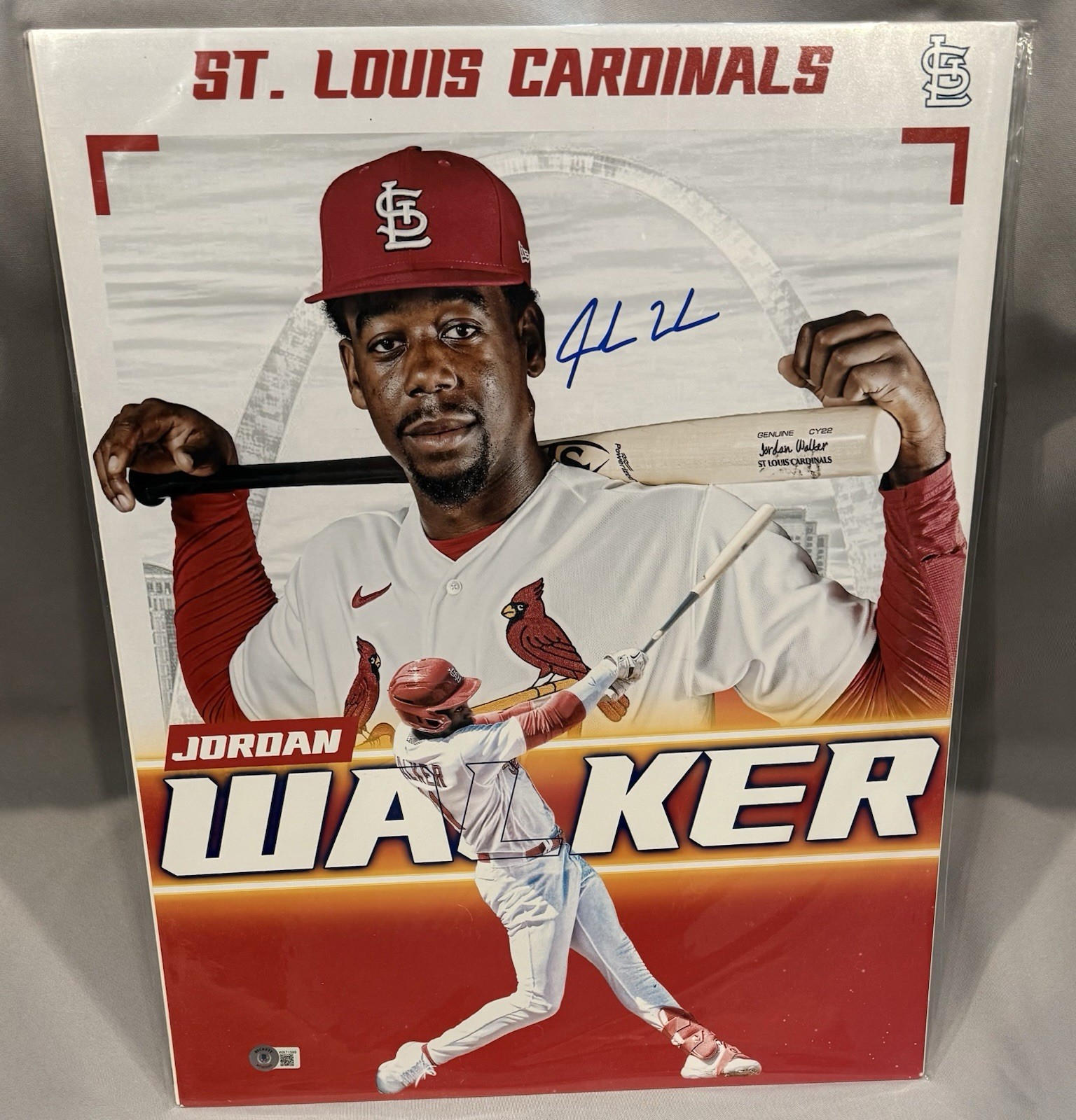 Jordan Walker Signed St. Louis Cardinals 16×20 Photo (Beckett)